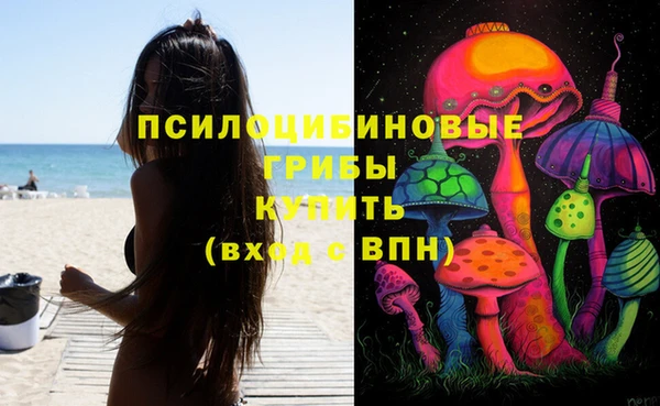 МДПВ Вязьма